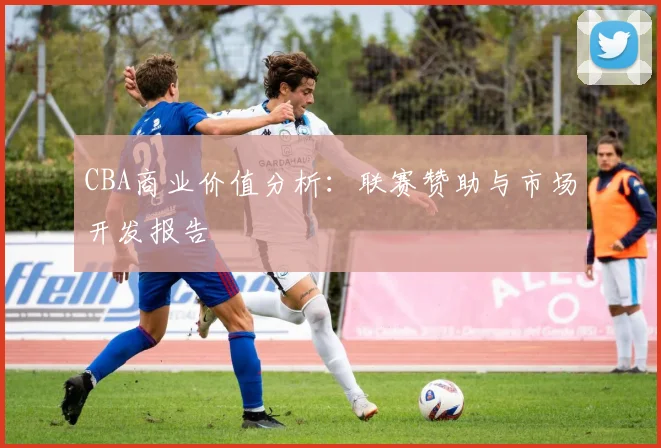 CBA商业价值分析:联赛赞助与市场开发报告